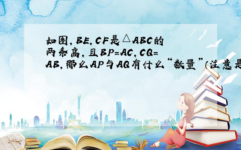 如图,BE,CF是△ABC的两条高,且BP=AC,CQ=AB,那么AP与AQ有什么“数量”（注意是数量!）关系和位置关系