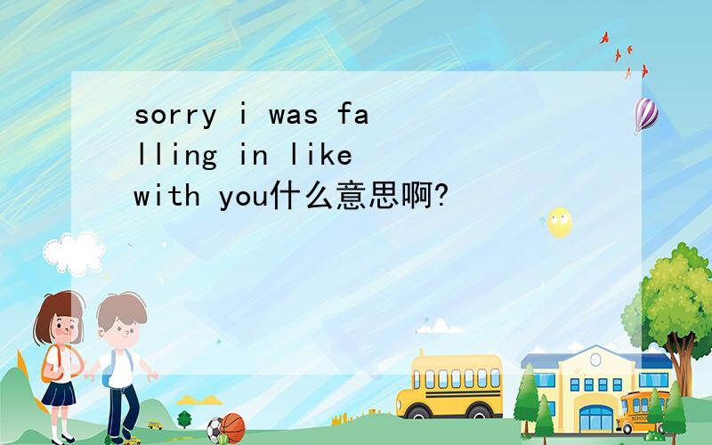 sorry i was falling in like with you什么意思啊?