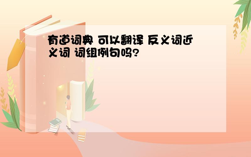 有道词典 可以翻译 反义词近义词 词组例句吗?