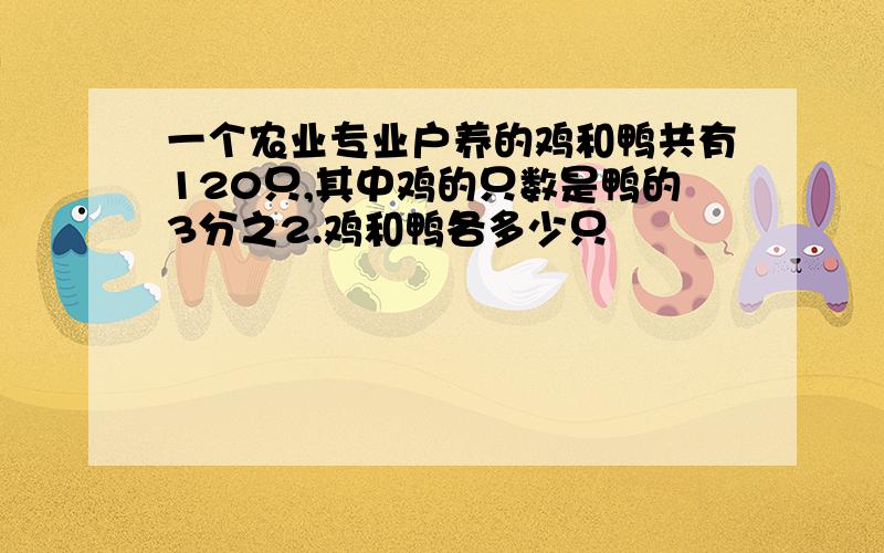 一个农业专业户养的鸡和鸭共有120只,其中鸡的只数是鸭的3分之2.鸡和鸭各多少只