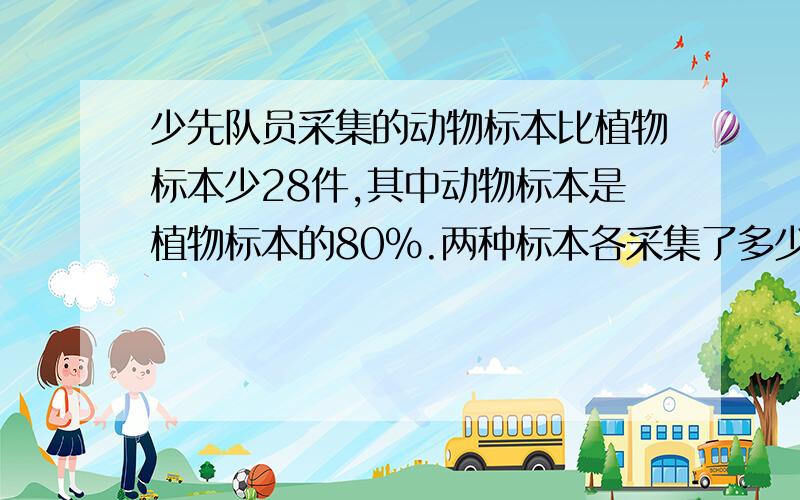 少先队员采集的动物标本比植物标本少28件,其中动物标本是植物标本的80%.两种标本各采集了多少件?