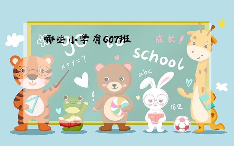 哪些小学有607班