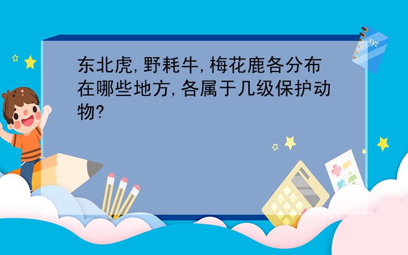 东北虎,野耗牛,梅花鹿各分布在哪些地方,各属于几级保护动物?