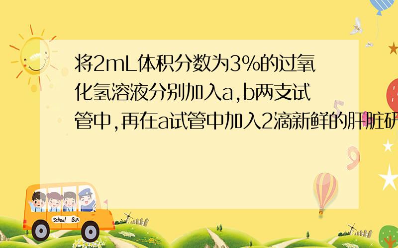 将2mL体积分数为3%的过氧化氢溶液分别加入a,b两支试管中,再在a试管中加入2滴新鲜的肝脏研磨液,b试管中加入4滴新鲜