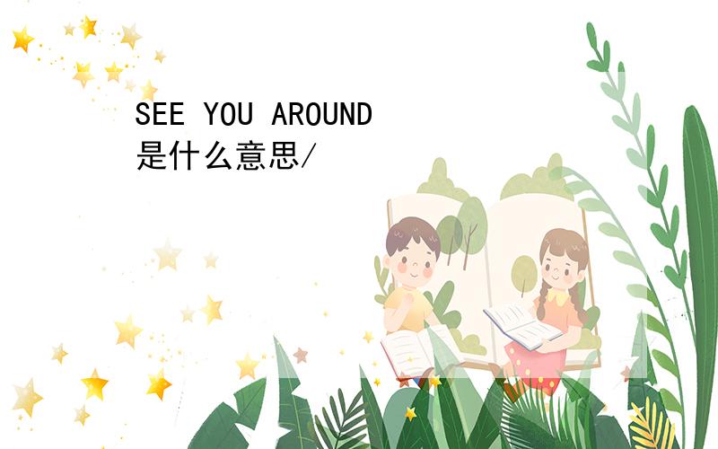 SEE YOU AROUND是什么意思/