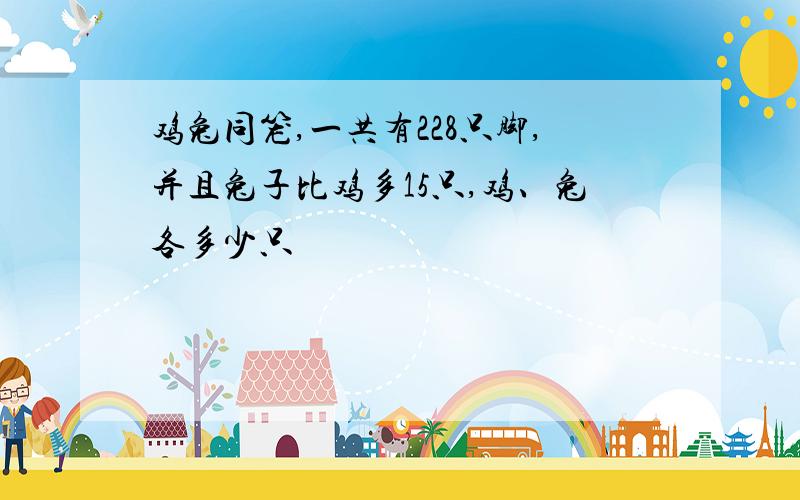 鸡兔同笼,一共有228只脚,并且兔子比鸡多15只,鸡、兔各多少只