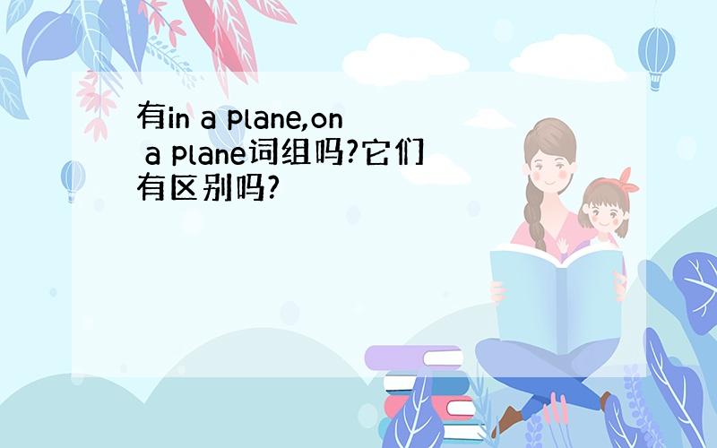 有in a plane,on a plane词组吗?它们有区别吗?