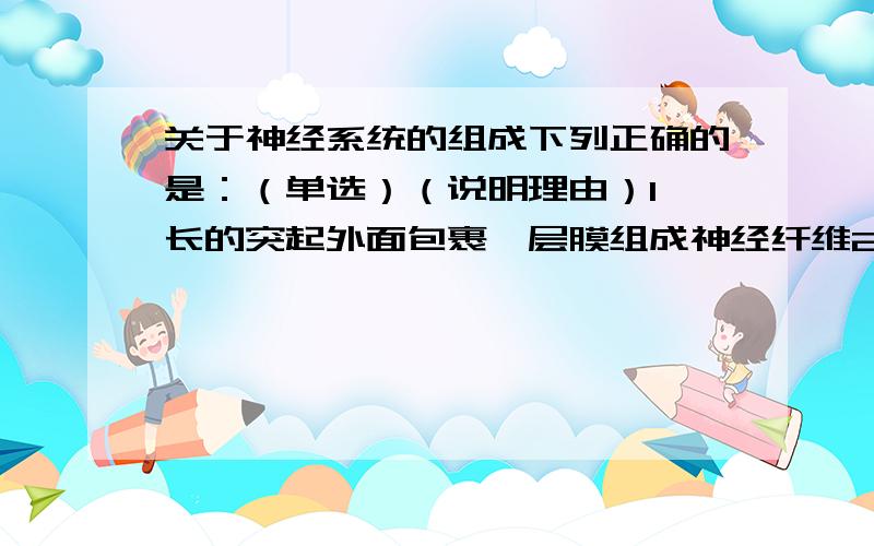 关于神经系统的组成下列正确的是：（单选）（说明理由）1 长的突起外面包裹一层膜组成神经纤维2 神经纤维末端的细小分支叫神