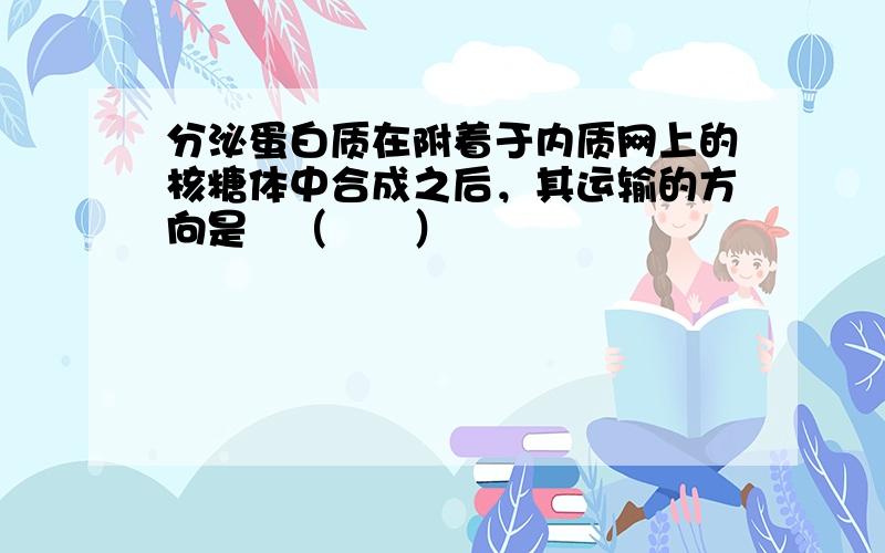 分泌蛋白质在附着于内质网上的核糖体中合成之后，其运输的方向是（　　）