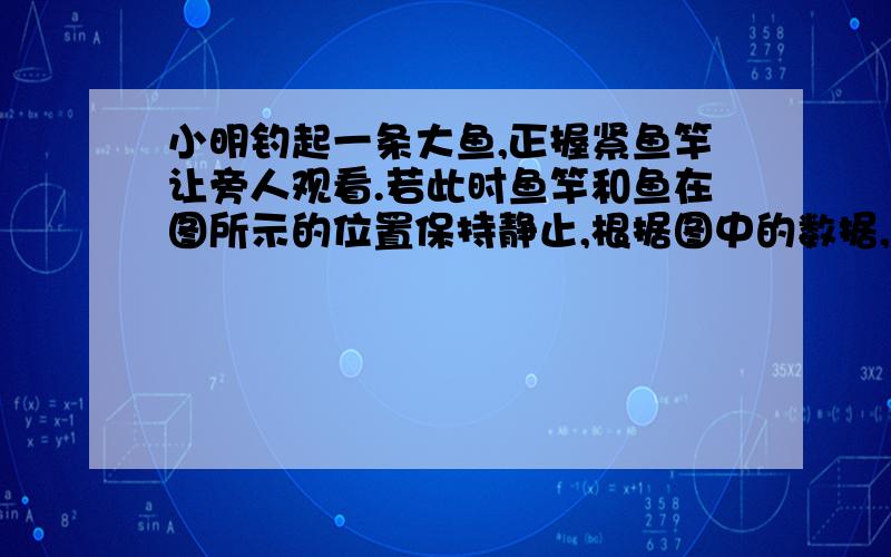 小明钓起一条大鱼,正握紧鱼竿让旁人观看.若此时鱼竿和鱼在图所示的位置保持静止,根据图中的数据,请你计算出此时小明抬鱼杆的