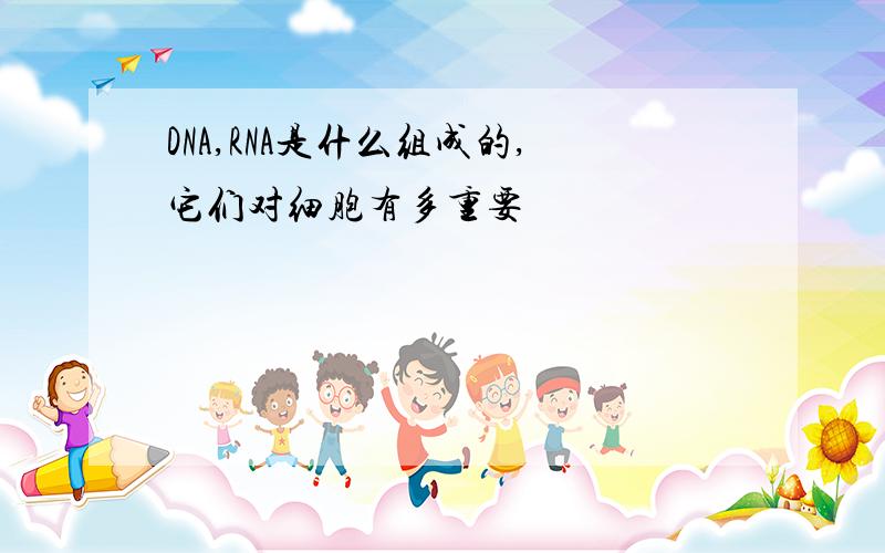 DNA,RNA是什么组成的,它们对细胞有多重要