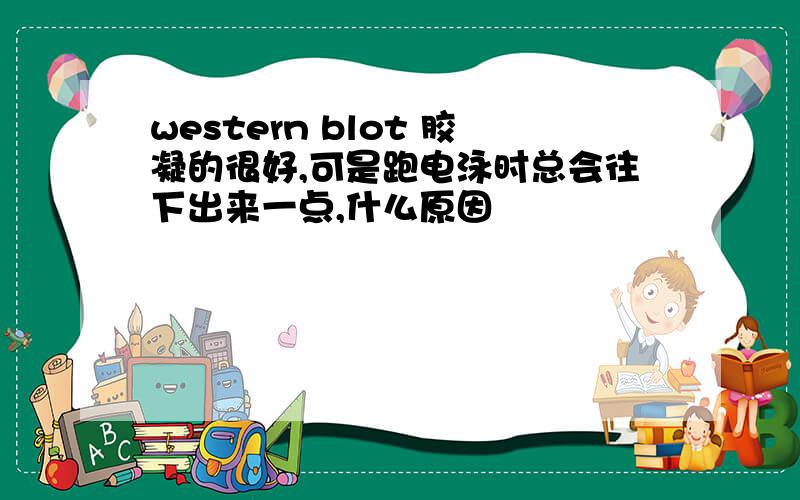 western blot 胶凝的很好,可是跑电泳时总会往下出来一点,什么原因