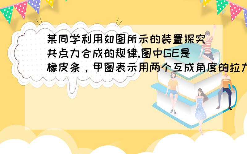 某同学利用如图所示的装置探究共点力合成的规律.图中GE是橡皮条，甲图表示用两个互成角度的拉力牵拉橡皮条，乙图表示用一个拉