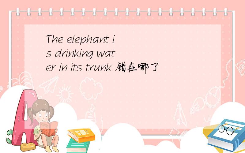 The elephant is drinking water in its trunk 错在哪了