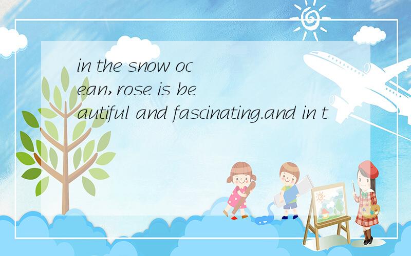 in the snow ocean,rose is beautiful and fascinating.and in t