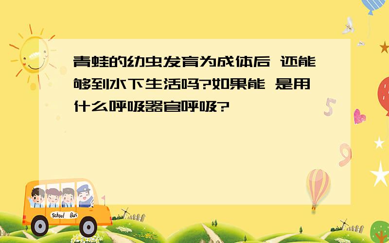 青蛙的幼虫发育为成体后 还能够到水下生活吗?如果能 是用什么呼吸器官呼吸?