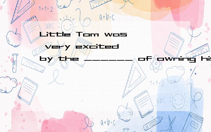 Little Tom was very excited by the ______ of owning his own