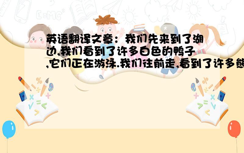 英语翻译文章：我们先来到了湖边,我们看到了许多白色的鸭子,它们正在游泳.我们往前走,看到了许多熊猫,它们非常可爱,有大有