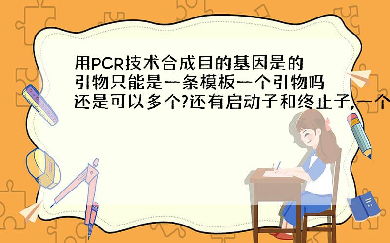 用PCR技术合成目的基因是的引物只能是一条模板一个引物吗还是可以多个?还有启动子和终止子,一个