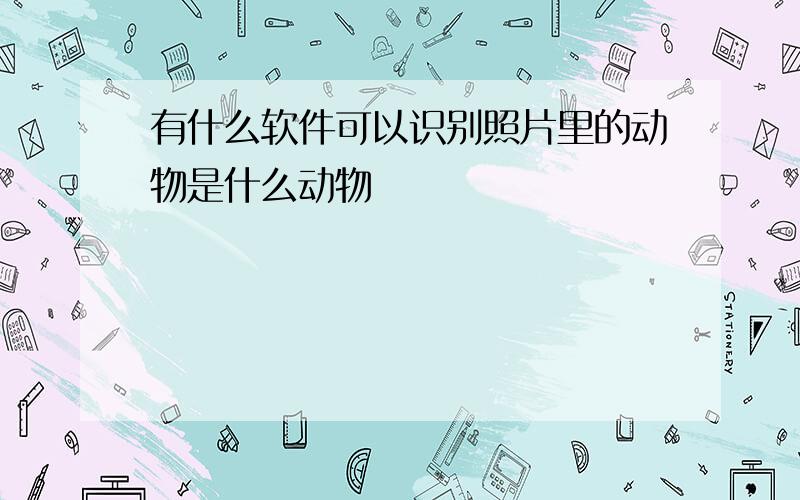 有什么软件可以识别照片里的动物是什么动物