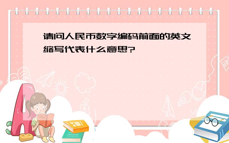 请问人民币数字编码前面的英文缩写代表什么意思?