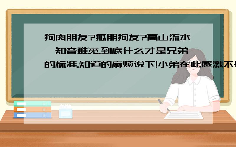 狗肉朋友?狐朋狗友?高山流水,知音难觅.到底什么才是兄弟的标准.知道的麻烦说下!小弟在此感激不尽.