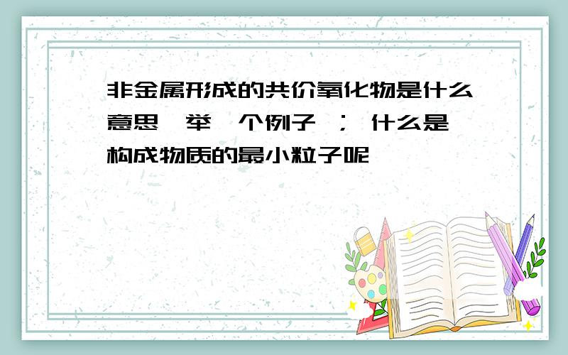 非金属形成的共价氧化物是什么意思,举一个例子 ； 什么是构成物质的最小粒子呢