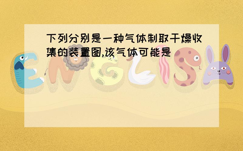 下列分别是一种气体制取干燥收集的装置图,该气体可能是