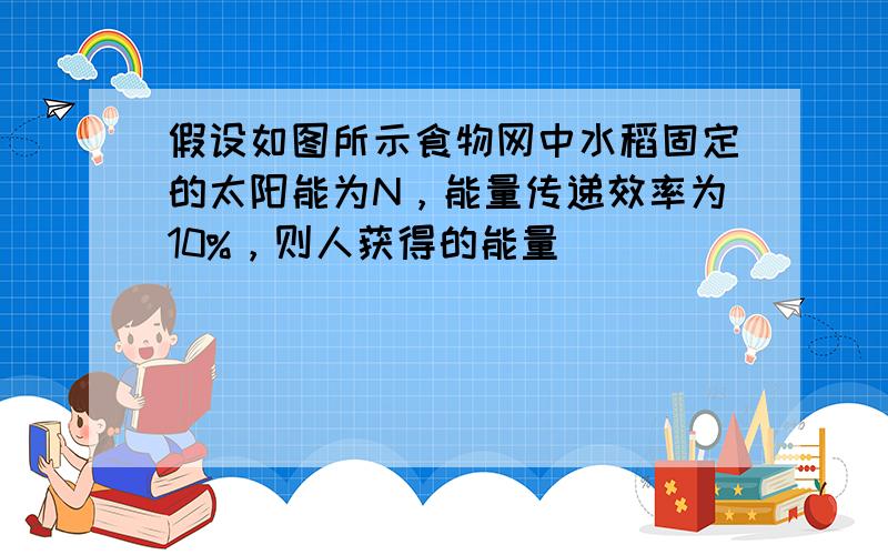 假设如图所示食物网中水稻固定的太阳能为N，能量传递效率为10%，则人获得的能量（　　）