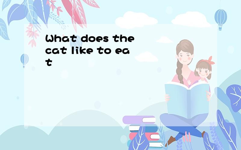 What does the cat like to eat