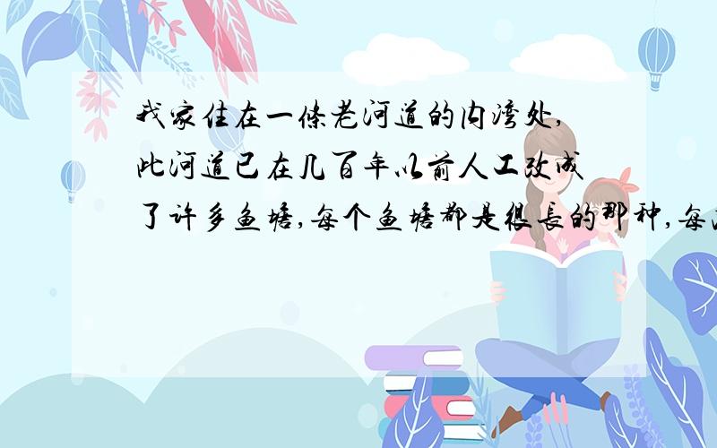 我家住在一条老河道的内湾处,此河道已在几百年以前人工改成了许多鱼塘,每个鱼塘都是很长的那种,每次我站在我家那个内湾5点钟