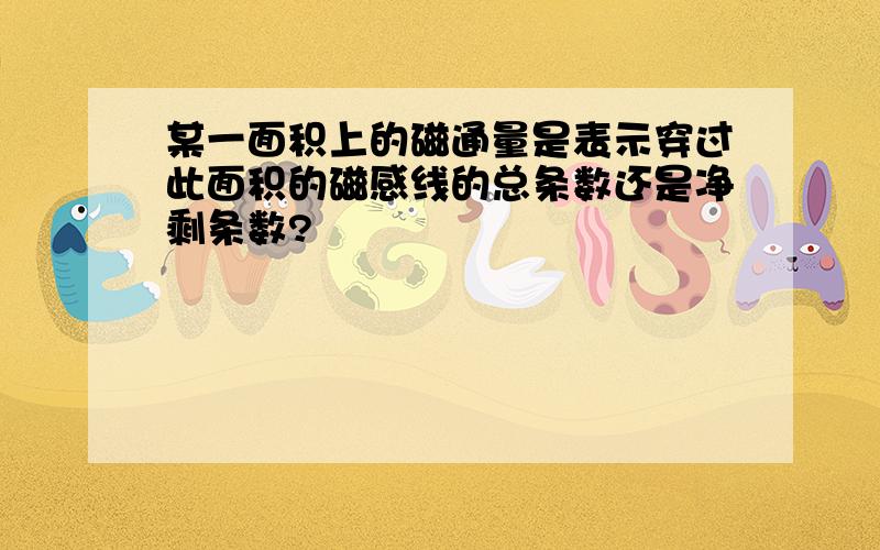 某一面积上的磁通量是表示穿过此面积的磁感线的总条数还是净剩条数?