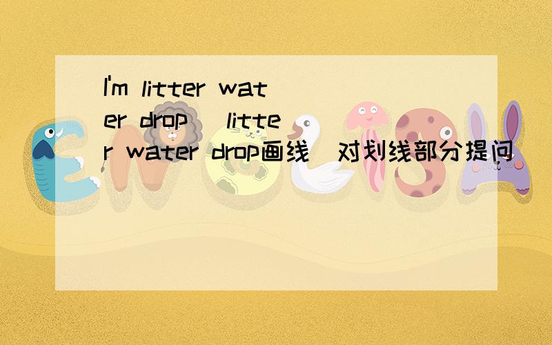 I'm litter water drop （litter water drop画线）对划线部分提问