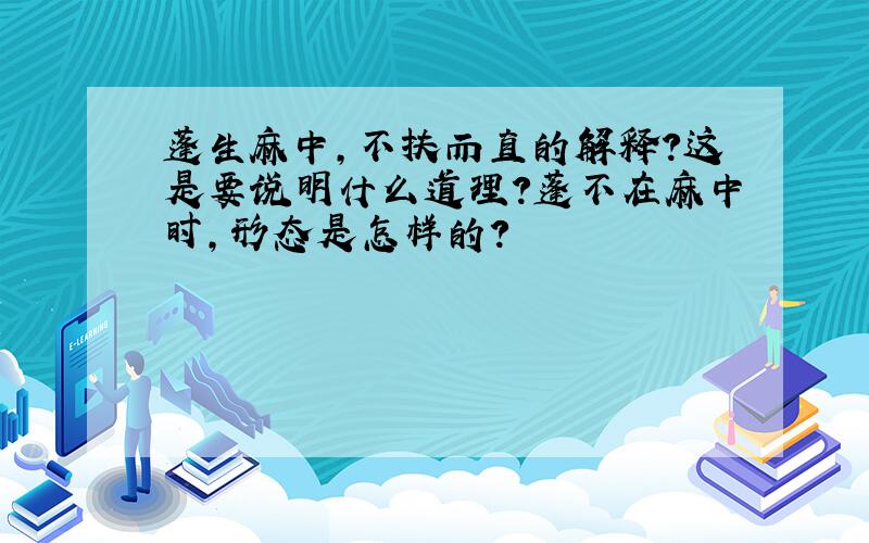 蓬生麻中,不扶而直的解释?这是要说明什么道理?蓬不在麻中时,形态是怎样的?