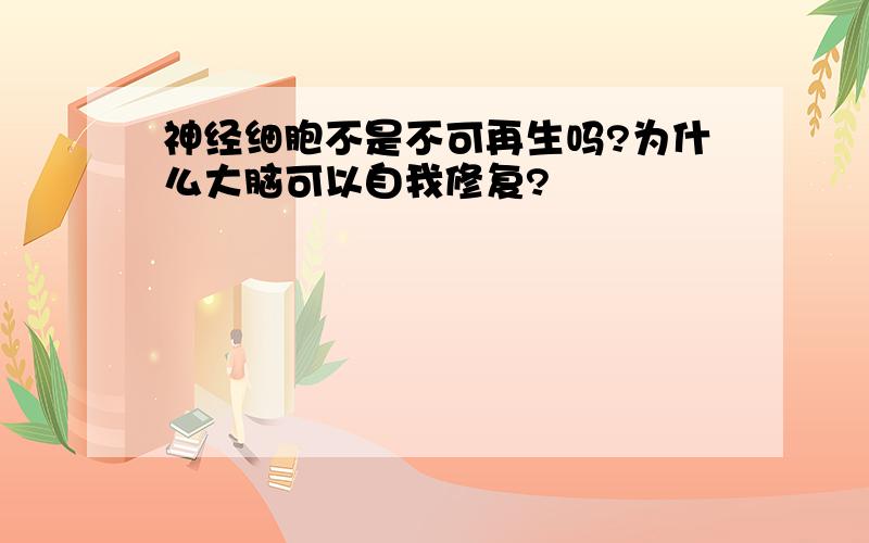 神经细胞不是不可再生吗?为什么大脑可以自我修复?