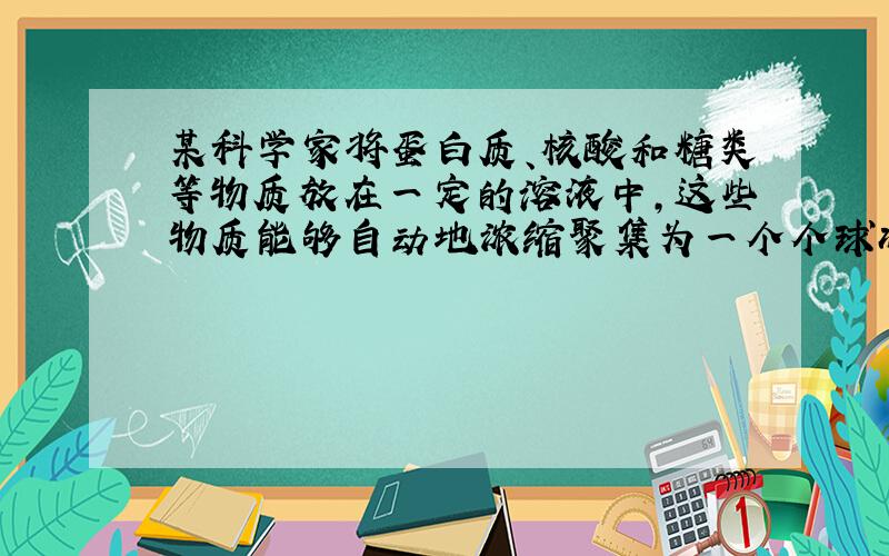 某科学家将蛋白质、核酸和糖类等物质放在一定的溶液中,这些物质能够自动地浓缩聚集为一个个球状小滴,小滴周围有类似于膜那样的