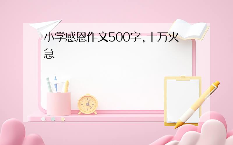 小学感恩作文500字,十万火急