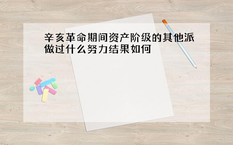 辛亥革命期间资产阶级的其他派做过什么努力结果如何