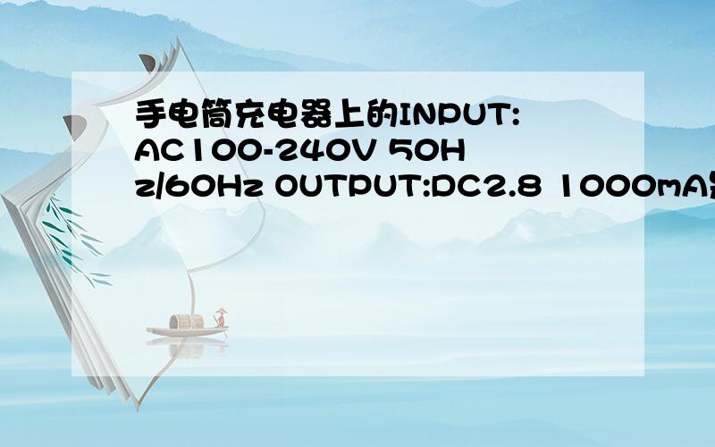 手电筒充电器上的INPUT:AC100-240V 50Hz/60Hz OUTPUT:DC2.8 1000mA是什么意思