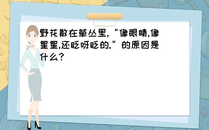 野花散在草丛里,“像眼睛,像星星,还眨呀眨的.”的原因是什么?