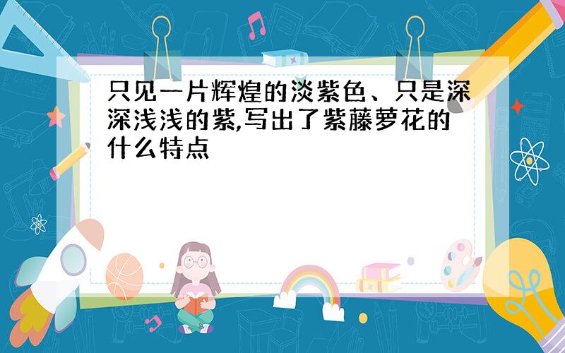 只见一片辉煌的淡紫色、只是深深浅浅的紫,写出了紫藤萝花的什么特点