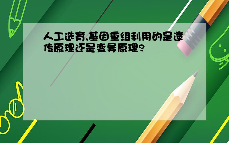 人工选育,基因重组利用的是遗传原理还是变异原理?