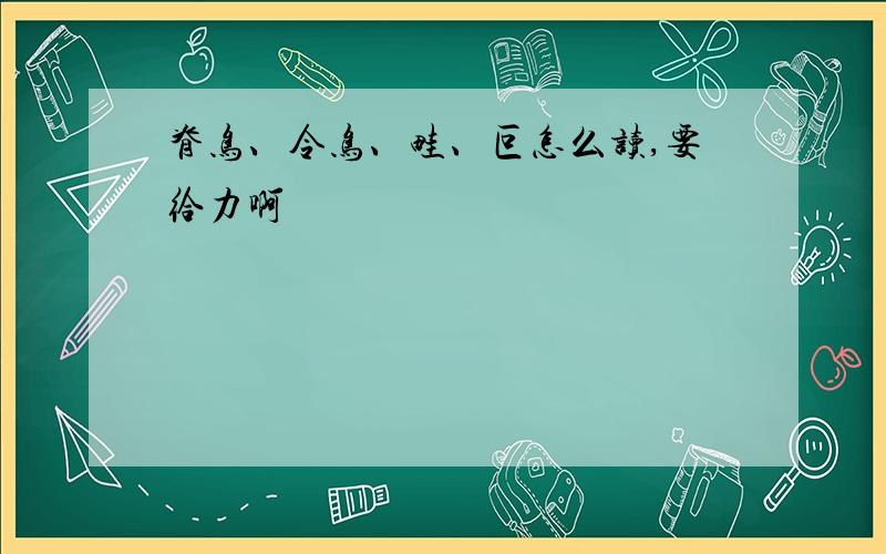 脊鸟、令鸟、畦、叵怎么读,要给力啊